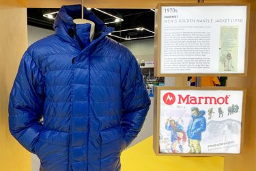 Marmot