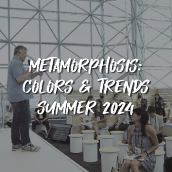 Metamorphosis: Colors & Trends Summer 2024